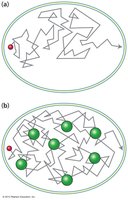 Diffusion in cytoplasm vs. pure water
