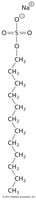 Structure of sodium dodecyl sulfate (SDS)