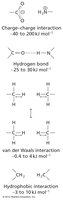Types of noncovalent interactions