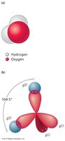 Water molecule structure and bond angle