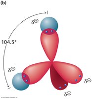 Polarity and electron distribution in water