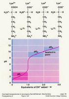 Titration curve of a diprotic amino acid