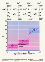 Titration curve of an acidic amino acid