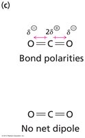 Nonpolarity in carbon dioxide