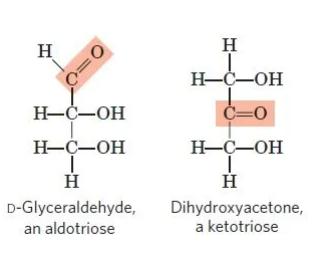 D and L designations of sugars