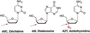 Structures of nucleoside analogues