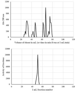 SEC chromatogram and activity profile