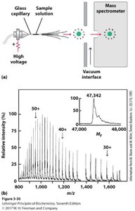 Electrospray ionization mass spectrometry