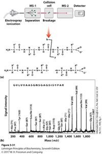 Tandem mass spectrometry workflow