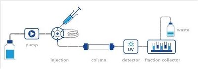 pI titration curve and charge states