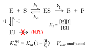Competitive inhibition: kinetic scheme