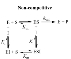 Non-competitive inhibition: kinetic scheme