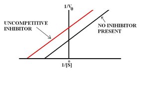 Uncompetitive inhibition: Lineweaver-Burk plot