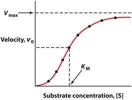 Allosteric enzyme kinetics
