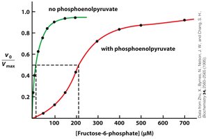 Allosteric inhibition by phosphoenolpyruvate