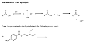 Mechanism of ester hydrolysis