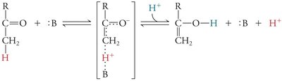 Base catalysis mechanism