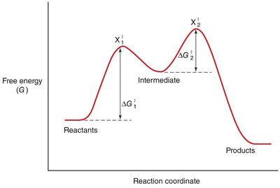 Two-step reaction coordinate diagram for covalent catalysis