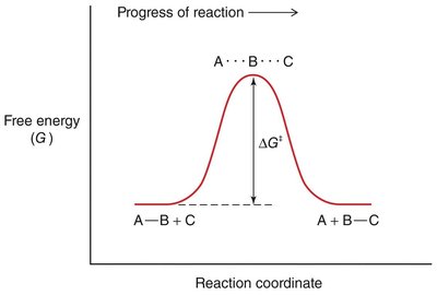 Free energy diagram showing activation energy barrier