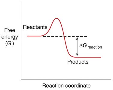 Spontaneous reaction free energy diagram