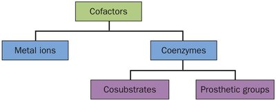 Cofactor classification diagram