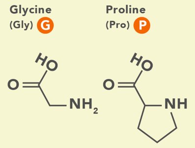 Methionine, Phenylalanine, Tyrosine, Tryptophan structures