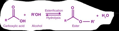 Amino acid structure with peptide bond