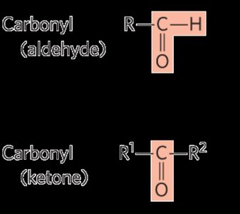 Carbonyl groups: aldehyde and ketone