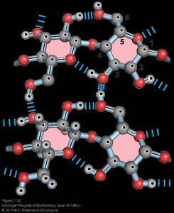 Cellulose hydrogen bonding