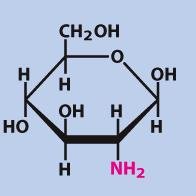 Glucosamine structure