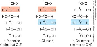 Epimers: D-mannose, D-glucose, D-galactose
