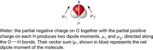Dipole moment in water molecule