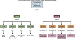 Classification of cellular and acellular microbes