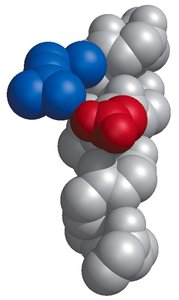 Heptad repeat in alpha helix