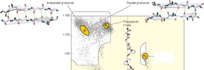 Ramachandran plot with secondary structure examples