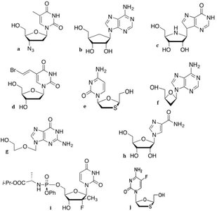 Examples of nucleoside and nucleotide analogues