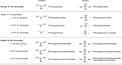 Functional group names of phosphorus moieties