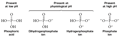 Ionization states of phosphate group