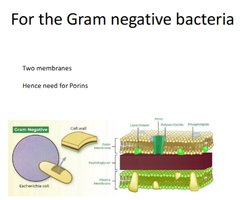 Mechanisms of horizontal gene transfer