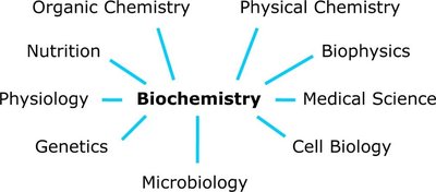 Biochemistry as an interdisciplinary science