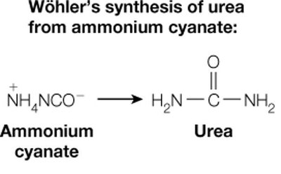 Wöhler's synthesis of urea from ammonium cyanate
