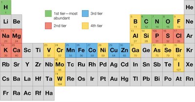 Periodic table pertinent to biochemistry