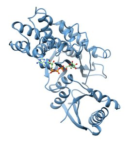 Enzyme activity vs. pH graph