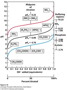 Henderson-Hasselbalch equation and buffer midpoint