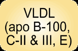 VLDL