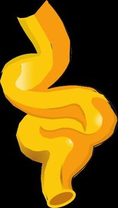 Steps involved in the metabolism of chylomicrons – the exogenous pathway of lipid transport