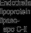 Endothelial lipoprotein lipase-apo C-II