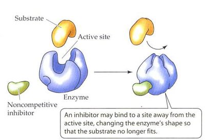 Diagram of non-competitive enzyme inhibition