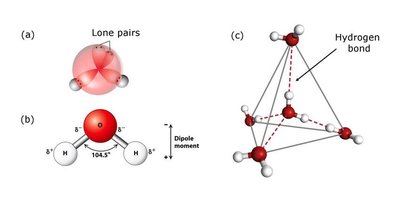 Tetrahedral hydrogen-bonded structure of water molecules in ice