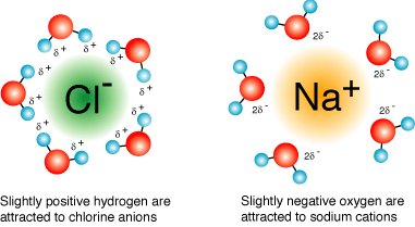 Hydration of chloride and sodium ions by water